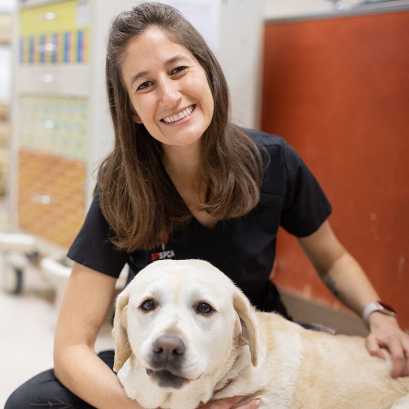 Dr. Emily Johnson